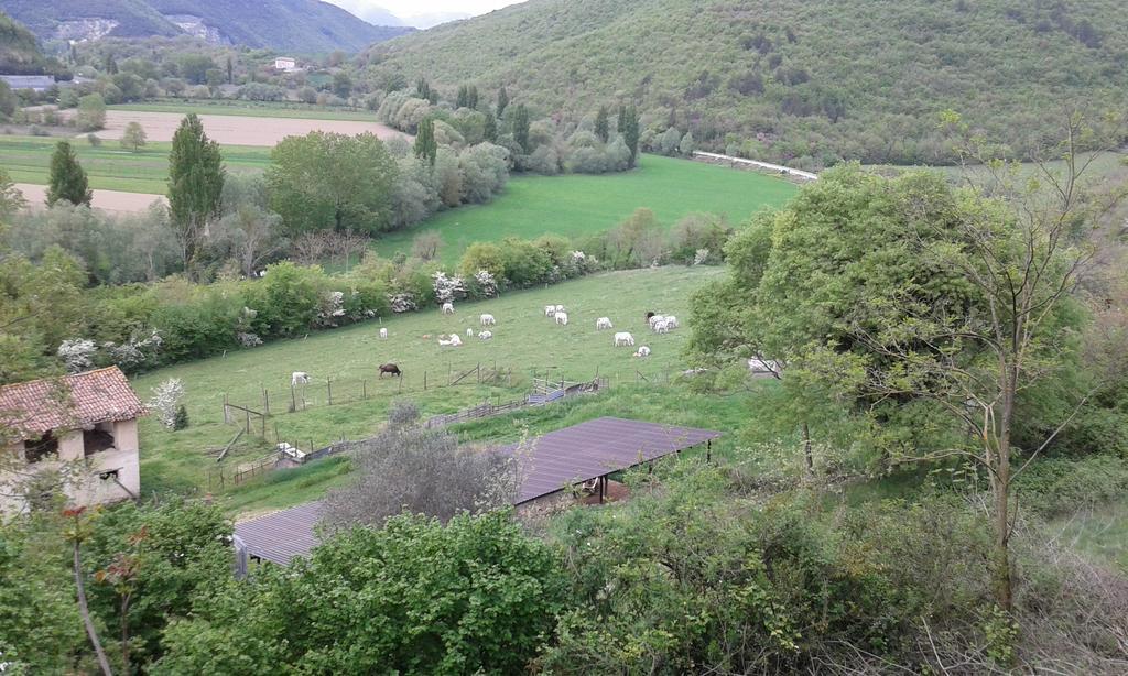 Agriturismo Cardito Santa Rufina Exterior foto