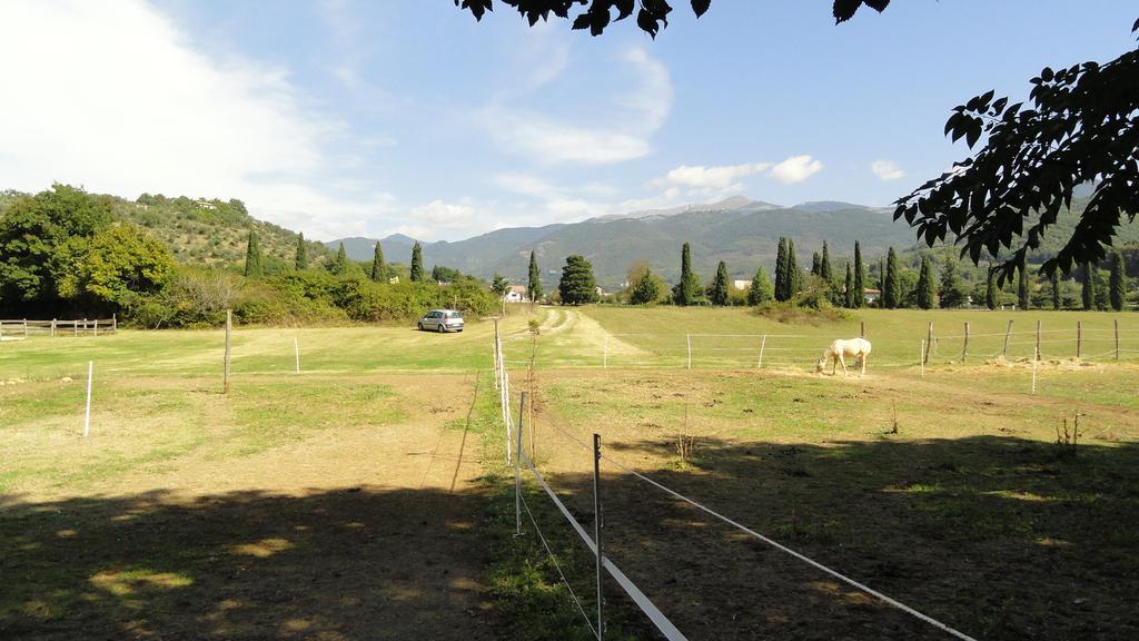 Agriturismo Cardito Santa Rufina Exterior foto